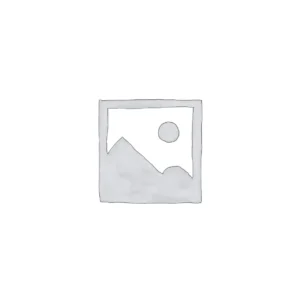 paint coating